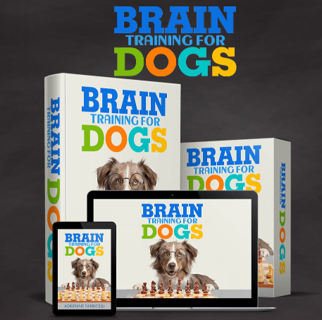 Brain Training for Dogs